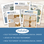 Sunday School Curriculum for Kids & Youth Groups, Old & New Testament Activities